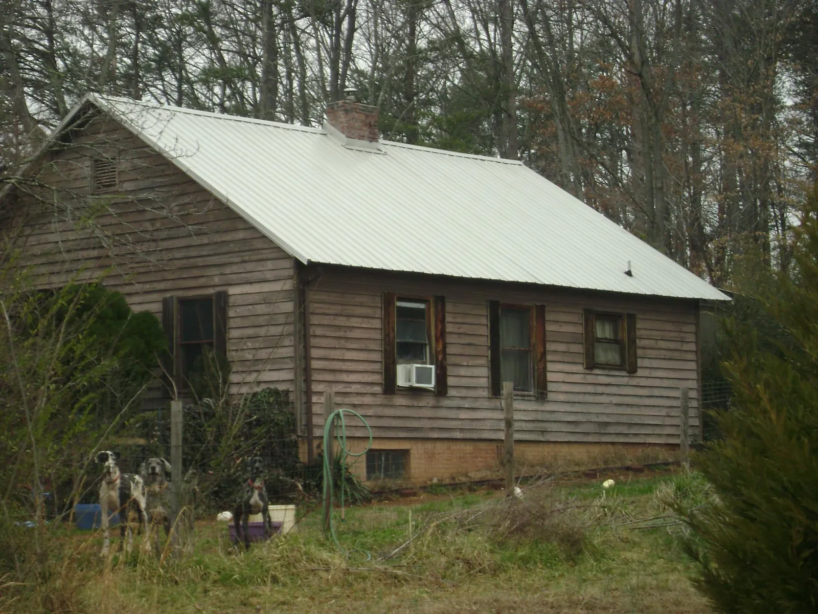 White metal roof on an old wood sided farmhouse, from a Asphalt Shingle Roof Repair job in Indianola